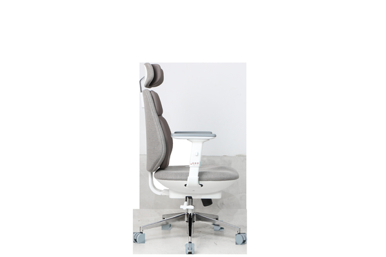 PA Castor Adjustable Lumbar Support Chair Gray ergonomic desk chair