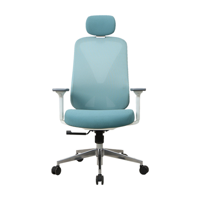Executive Infinity Ergonomic Mesh Back Office Chair 330 Polished Adjustable Desk Chair