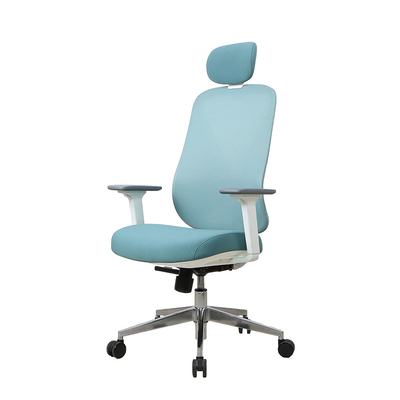 Executive Infinity Ergonomic Mesh Back Office Chair 330 Polished Adjustable Desk Chair