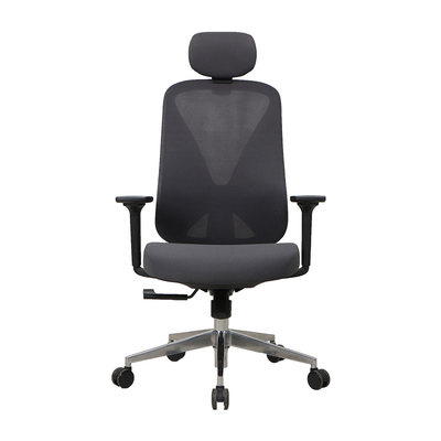 330 Polished Ergonomic Task Chair Aluminum Ergo Infinity Leather Computer Chair