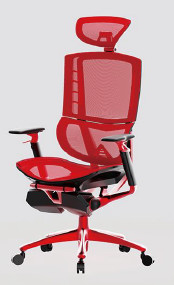 Adjustable Ergonomic Office Chair Molded Foam Ergo Mesh Manager Chair